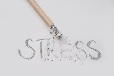 stressi stressi